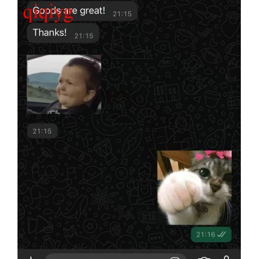 qiqiyg.com Offizielle Bewertungen qiqiyg reviews QB008